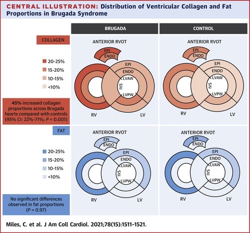 Chris Miles tweet media