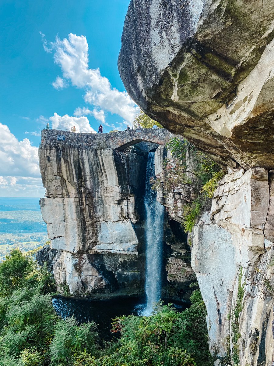 Hello Twitter! Who else thought it was their internet connection? 😅 Guess I can’t blame IG being down on the service at <a href="/SeeRockCity/">seerockcity</a>. Sharing snaps from our adventure today with the birds! 💙💙