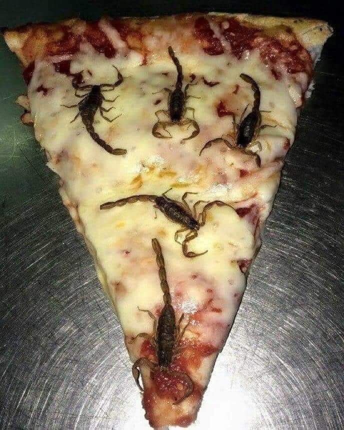 GodzTrance's tweet photo. @amyandecho Here's a pizza to kick off your evening #pizzatime https://t.co/KMHL8guJXE