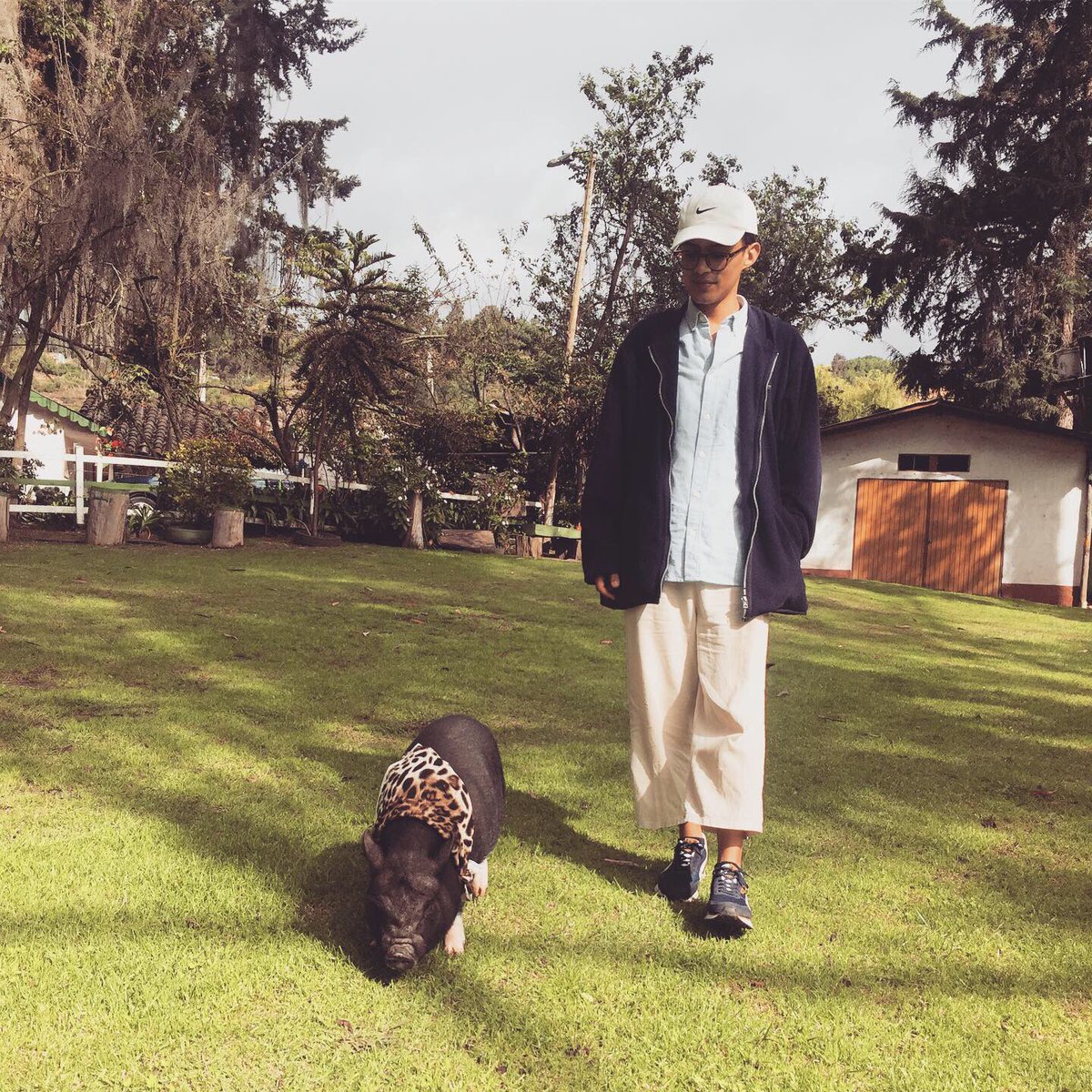 Hoy fue el Día de Tomasa 🐷 #sinwhatsapp #sinredes #CaidaDeFacebook