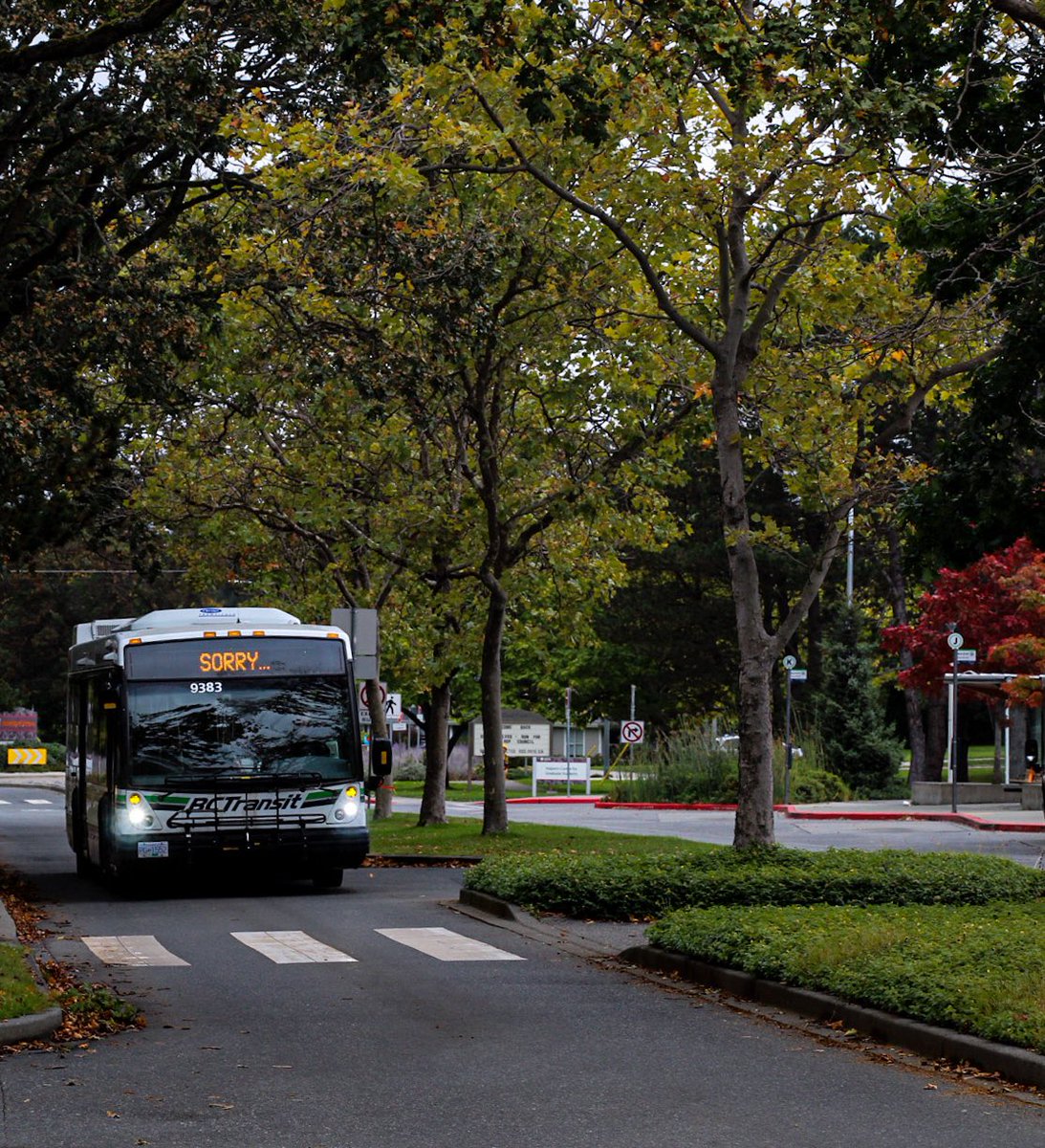 Trevor B tweet media