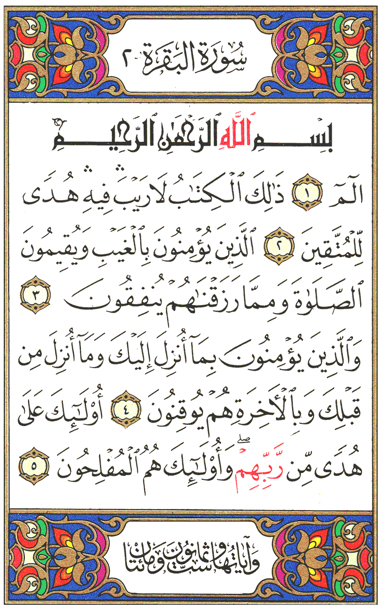 8911Di's tweet photo. #القران_الكريم
#الورد_اليومي https://t.co/SaTw7mspUV