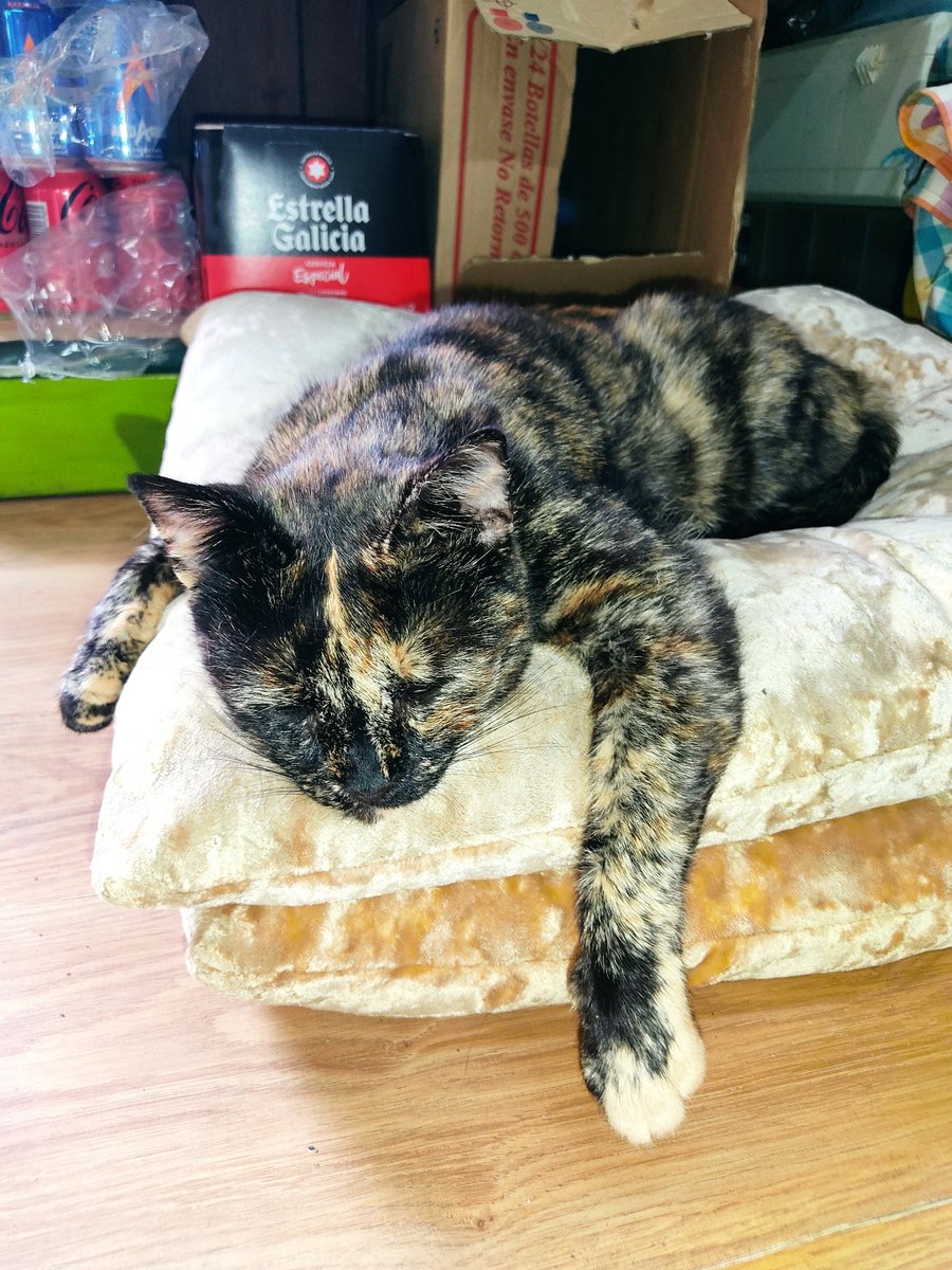 Menuda castaña a Estrellas 😃🍻