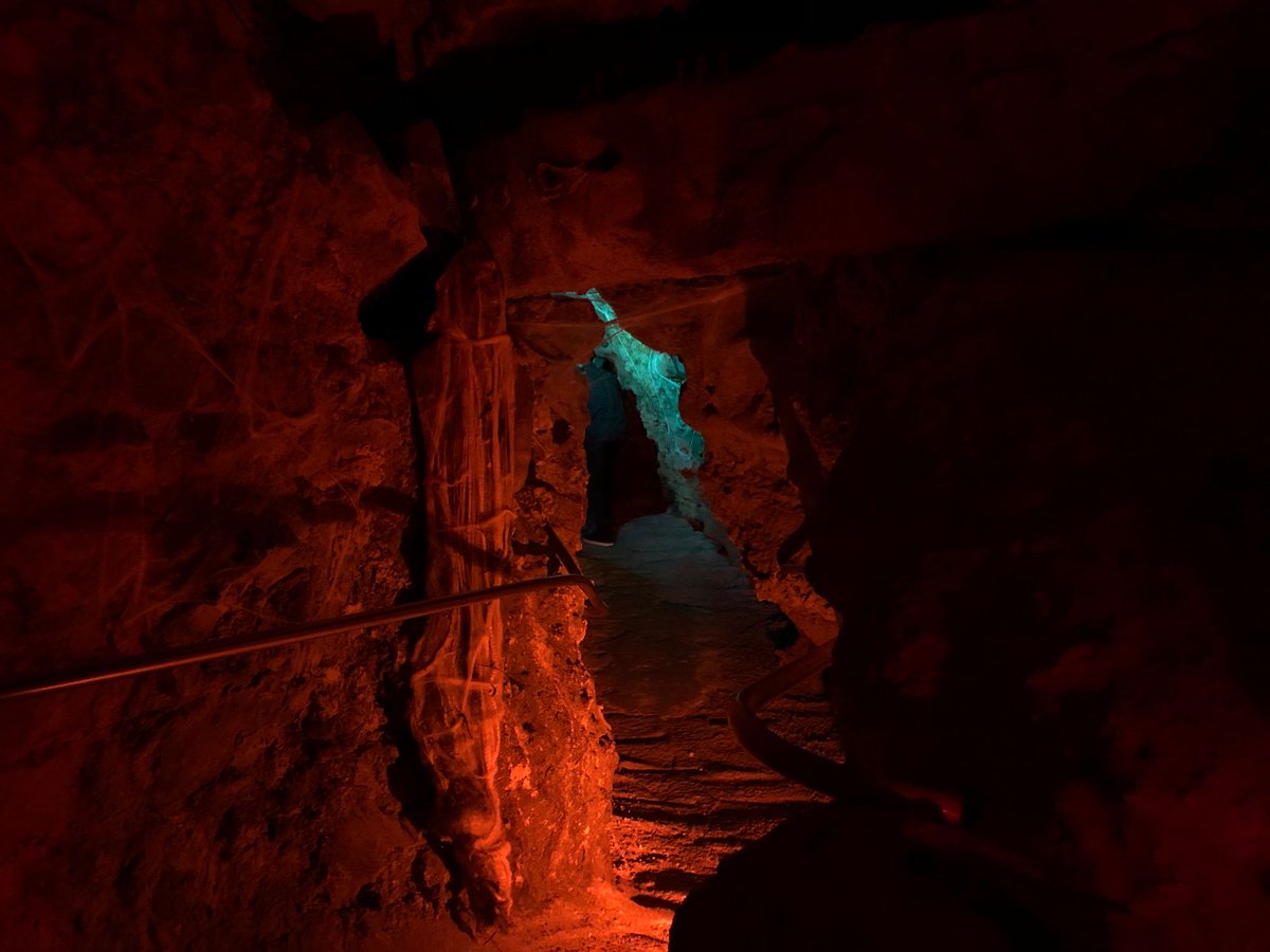 Wonder World Cave & Adventure Park tweet media