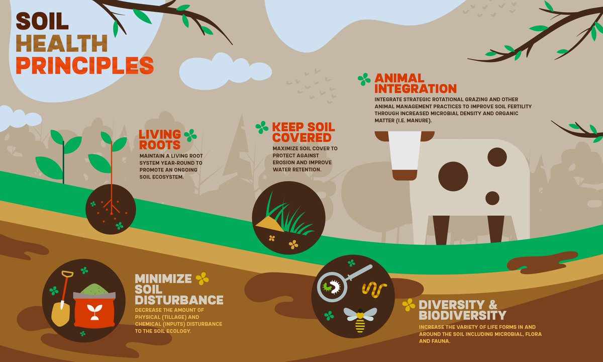Since we're all still here...Did you know soil health is at the root of great food quality and the regenerative agriculture movement? bit.ly/3Dd4ZEs