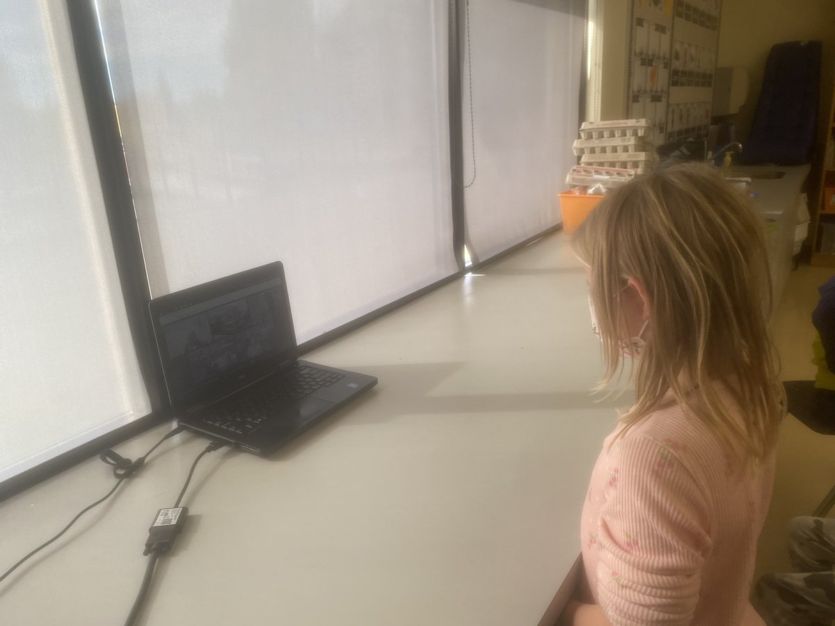 mabesmum's tweet photo. Thank you so much @MrsMacsKinders and @BarbaraGruener for allowing us to join your meet to talk to you about your amazing book Mr. Quigleys Keys. Quinn was honoured to show you some sign language she knows. What a special day @CSMhs4  @mrsmabins3s #hs4 #connection #mrGil #mrschan https://t.co/Xcw7fW7AGz
