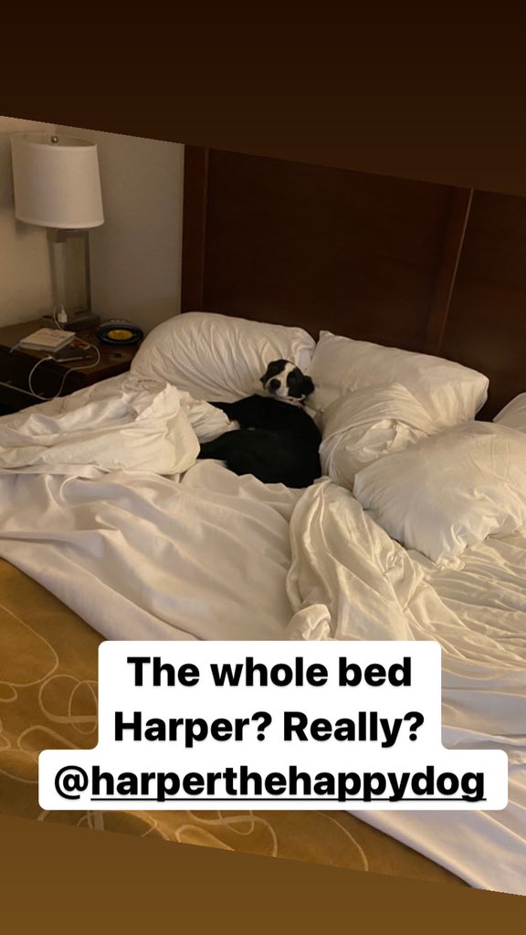 pauldeuce's tweet image. So sorry folks. My 11th anniversary was too much FB/IG that it couldn’t handle the positivity. Let’s see if these pics will knock out Twitter