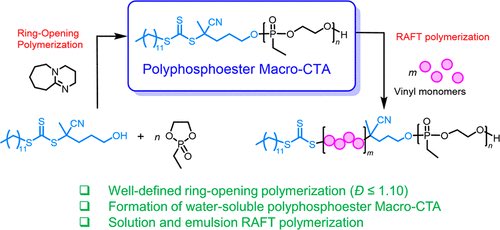 DiegoResndiz's tweet photo. If you're interested in #phosphorus-containing #hydrophilic #polymers combined with RAFT #polymerization, please check our chemistry out in @MacroJrnls_ACS. Great fun to work in this project, water-soluble materials are too way-out for me. Thanks for the opportunity @FrederikWurm https://t.co/qWlLKR2uH8