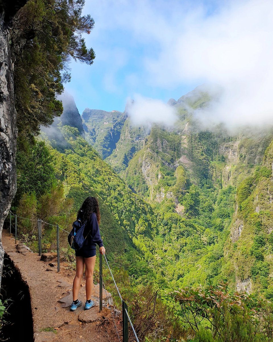 La chiamano "Amazzonia portoghese". Riuscite a indovinare il motivo? 😋🍃
<a href="/madeira_islands/">Madeira Islands</a> <a href="/Madeira/">Madeira Island / Ilha da Madeira</a> <a href="/visitmadeira/">visitmadeira</a>
