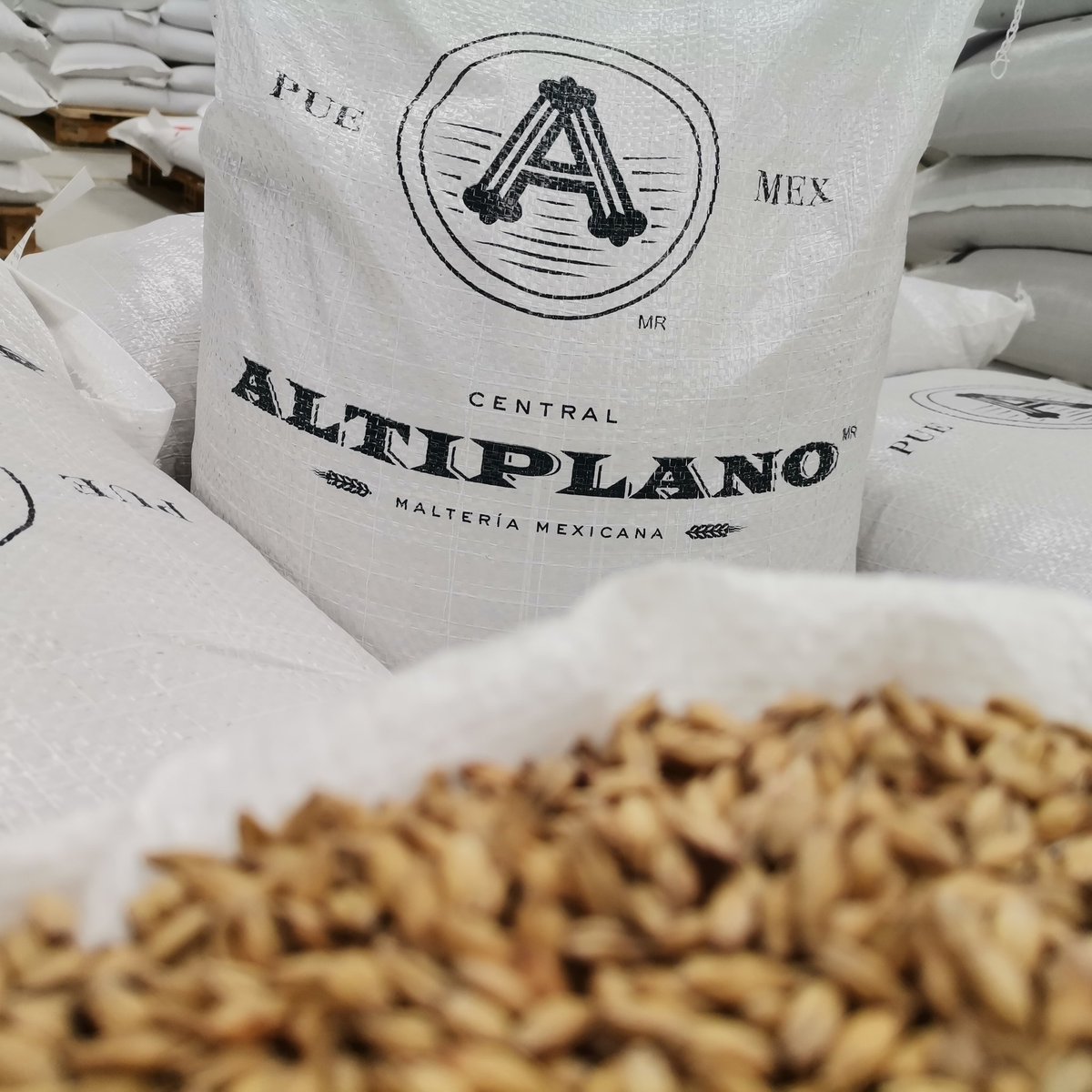 Recuerda que puedes encontrarnos por nuestros diferentes canales de comunicación, vía llamada, SMS o correo electrónico para realizar tus pedidos. 
👉 221 111 20 62 (PUE)
👉 782 102 93 99 (PUE)