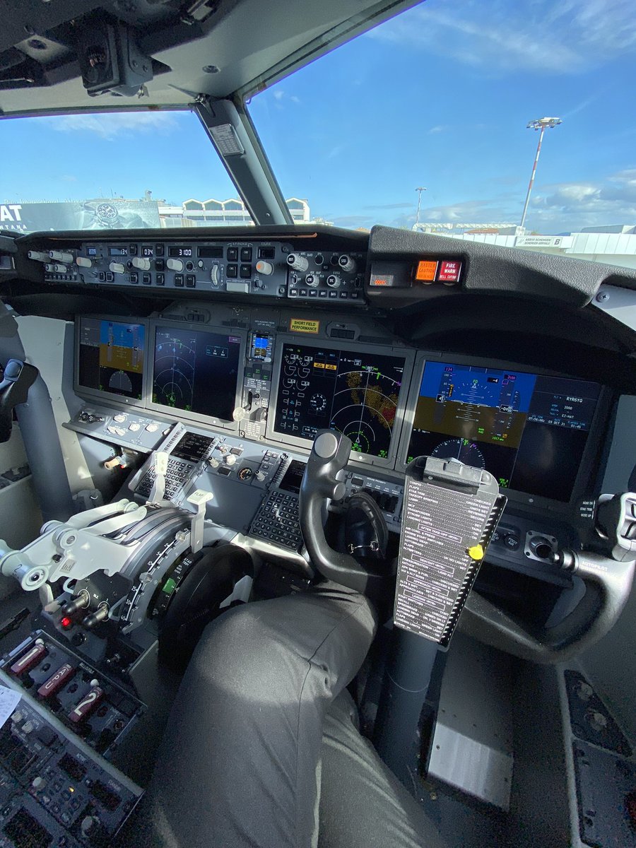 Pilotmaria tweet media