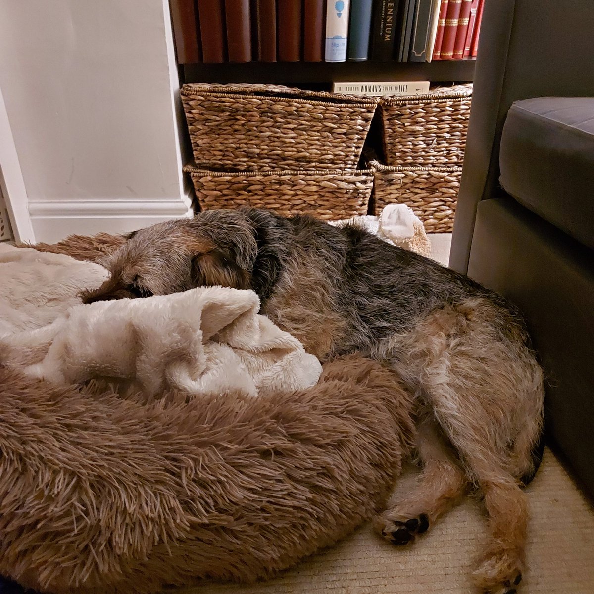 BarneyBooBT's tweet image. So Facebook may be down, and Instagram and WhatsApp but all that pales into insignificance because I have forgotten how to lay in my bed! 

#BTPosse