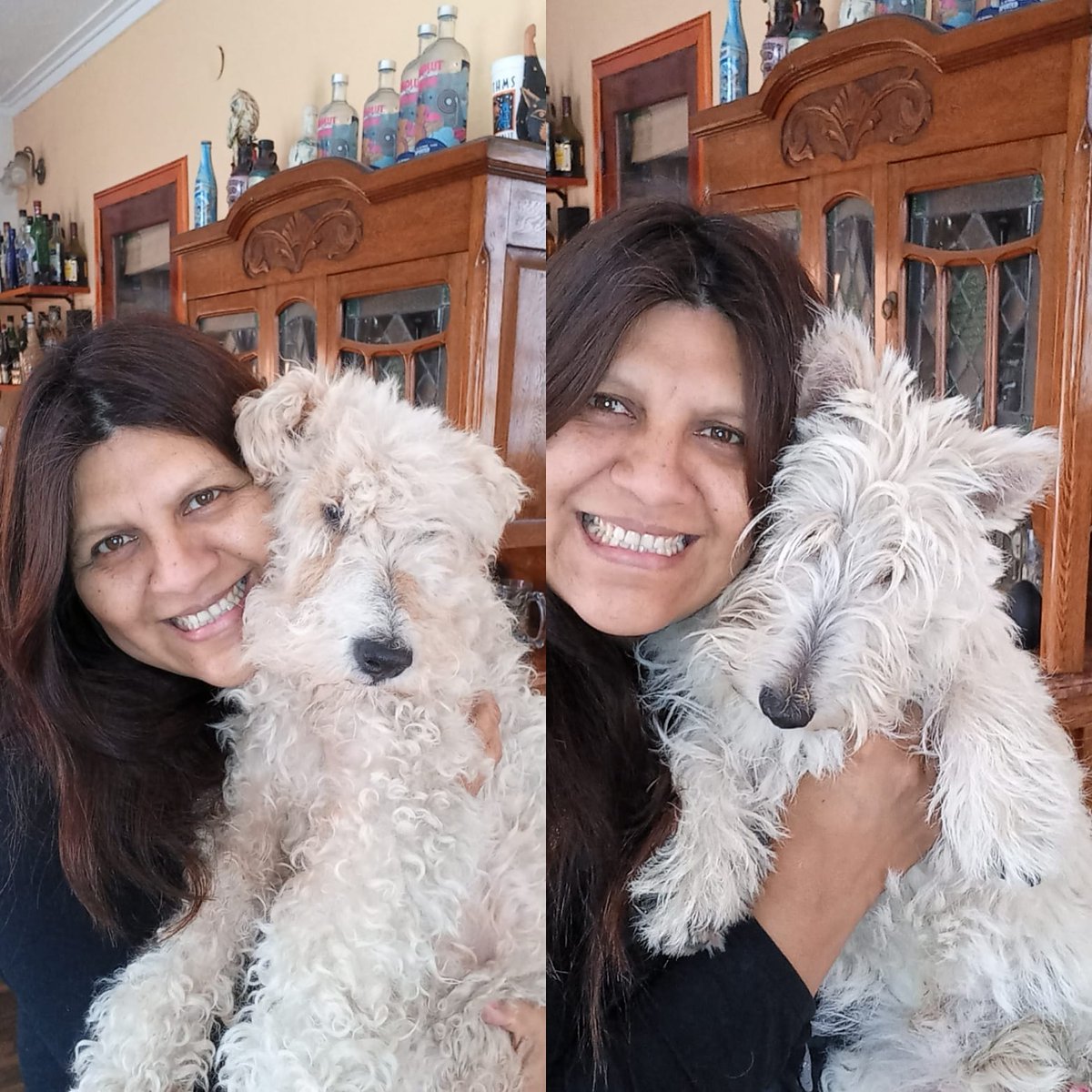 NovaCess's tweet photo. Hace  muuucho que no entramos por acá,  éste es Groucho 14 años y Batman 9 meses! https://t.co/lkY8c0Yz30