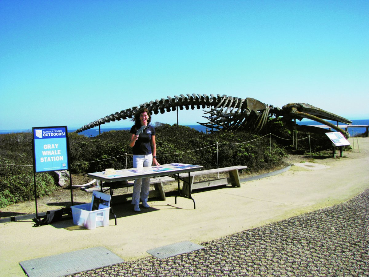 GoodTimesSC's tweet image. Seymour Center Reopens, Staff and Volunteers Rejoice
buff.ly/3l65vxY