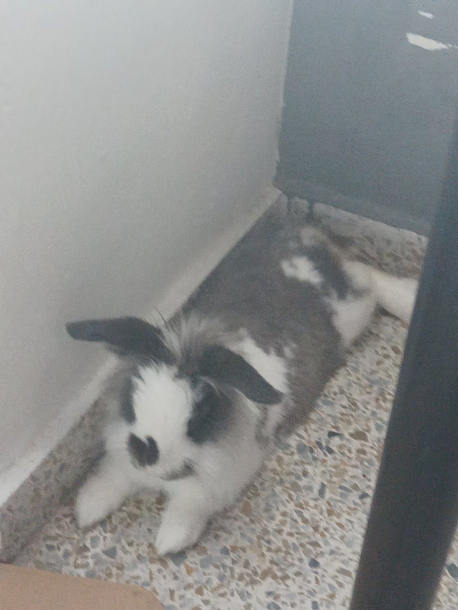 andreaorttg1's tweet image. #arduinos