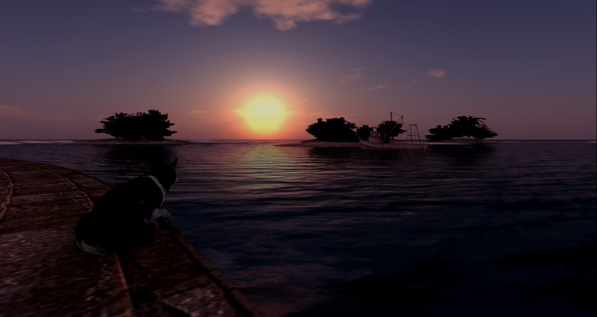 Need to find some more time ♥

#SecondLife #furry #feral #secondlifefurry #sl #slfurries