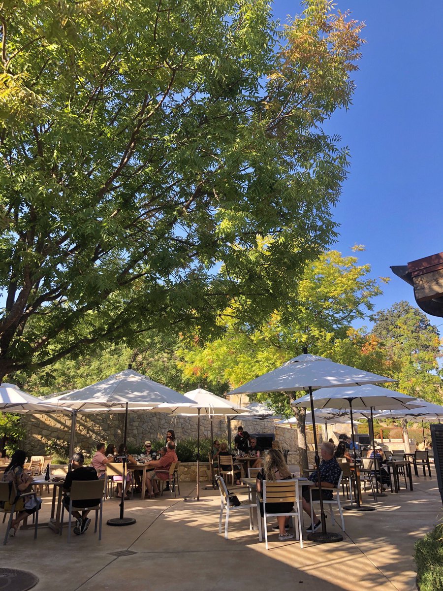 DestinationDRVR's tweet image. Wine tours have not been affected by #facebookdown Book yours today!