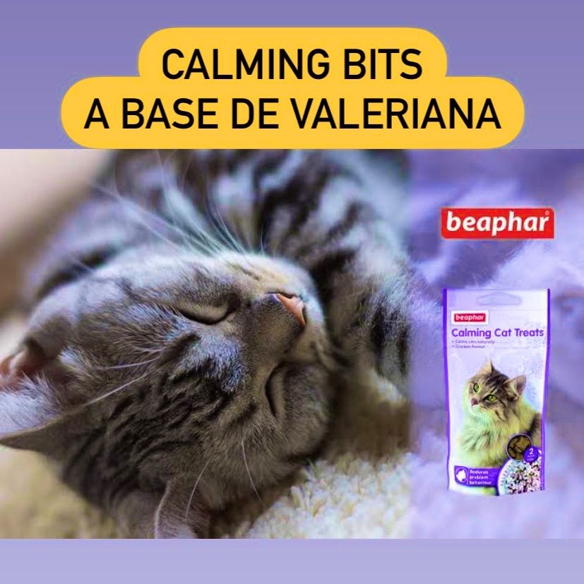 Los Bocaditos Calming de Beaphar son unos sabrosos bocaditos con sabor a pollo que contienen valeriana e ayudan a reducir la ansiedad del gato durante los períodos de estrés.
Mendiburu 620 Miraflores 
L a S de 10 a 6 pm