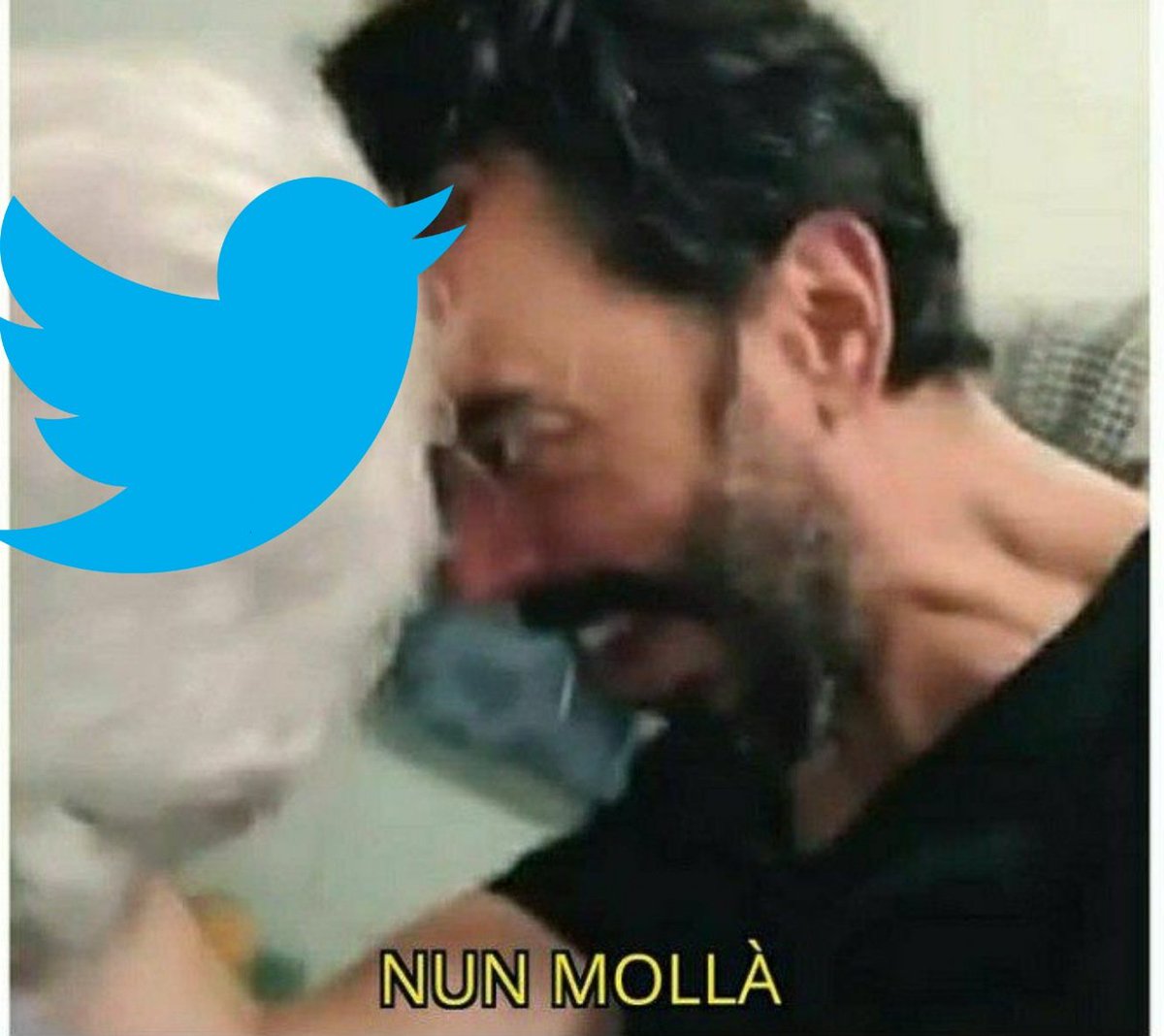 CinicShow's tweet photo. Chiunque è su Twitter ora😂#TwitterDown #facebookdown #instagramdisabled #instadown #whatsappdown https://t.co/5L29mfPCn6