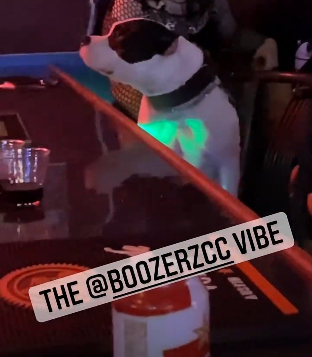 4Ever_Surfing's tweet photo. one of the highlights from my weekend... he's a cool dog!  
(Photo credit, LeftHandedKnivesBand Instagram Story) https://t.co/lEla7hfnkM