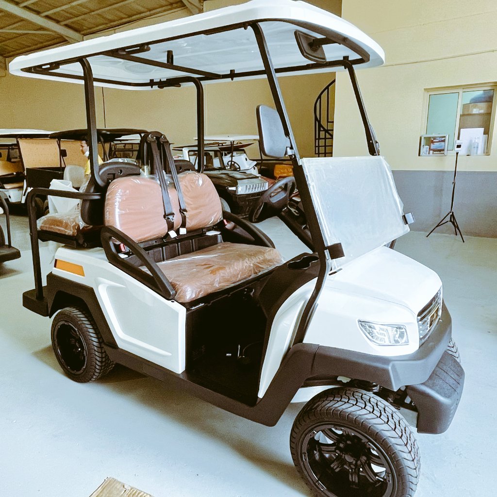 Irfan Saleem (Elect_GolfCarts) Twitter