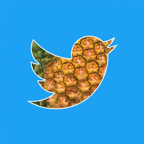 AnanasUniverse's tweet photo. #NouvellePhotoDeProfil https://t.co/s2CkCSvoTg