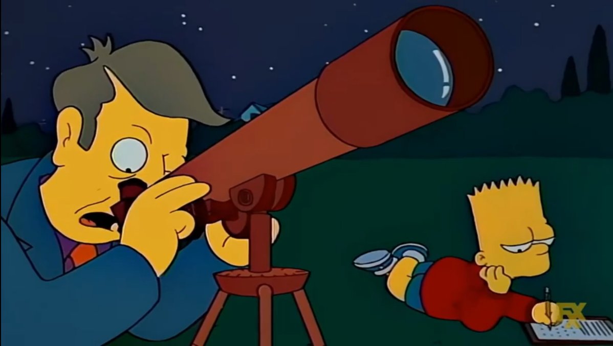 Chihuahua y Los Simpson tweet media