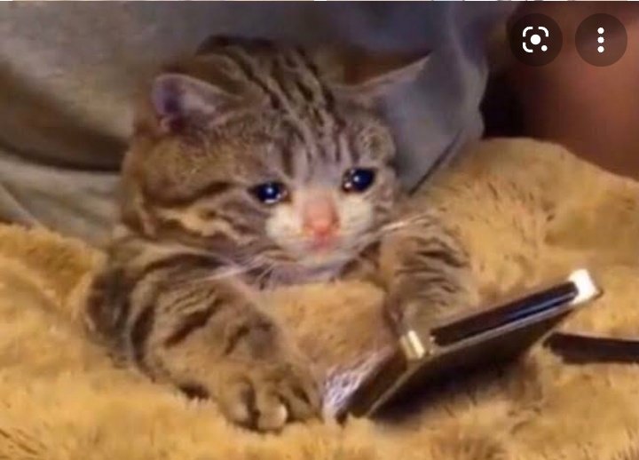 SccpKamylla's tweet photo. como que conversa pelo iMessage, se ele e eu não tem iPhone?????🤡 https://t.co/RgoJtySbx1