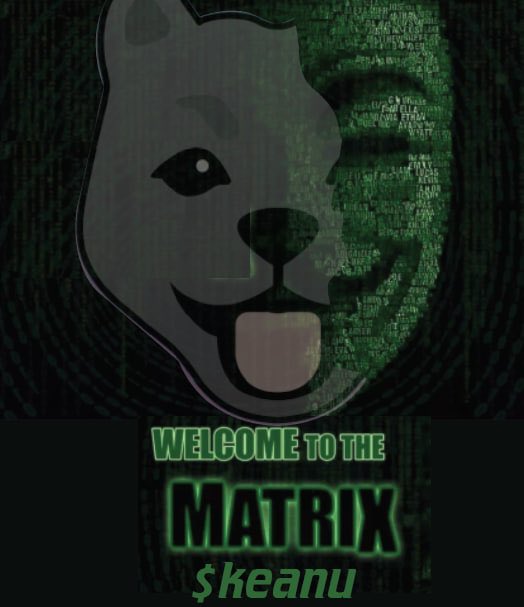 FreazyRocks's tweet image. @InuKeanu is the one !!
Big things are coming for $KEANU with a new $KEANU swap and a new exchange listing on 
@LBank_Exchange + a new NFT marketplace = a new ATH is inevitable .LFG!!!