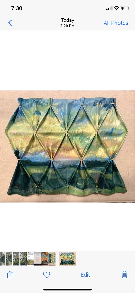 Since Instagram is down, I thought I’d post my art on here. This is a piece I’ve made for an upcoming exhibition. I’m painting these on canvas, then smocking the canvas to create dimensional geometric patterns that interact with the landscape.