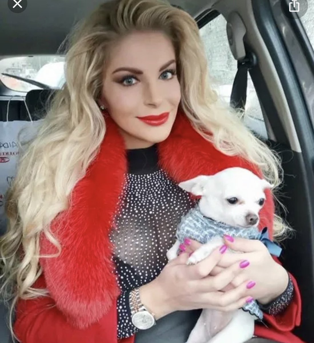 bambolastaar's tweet photo. Un minuto di silenzio per il cane cagone della Cipry #gfvip https://t.co/ew2kfeaehm