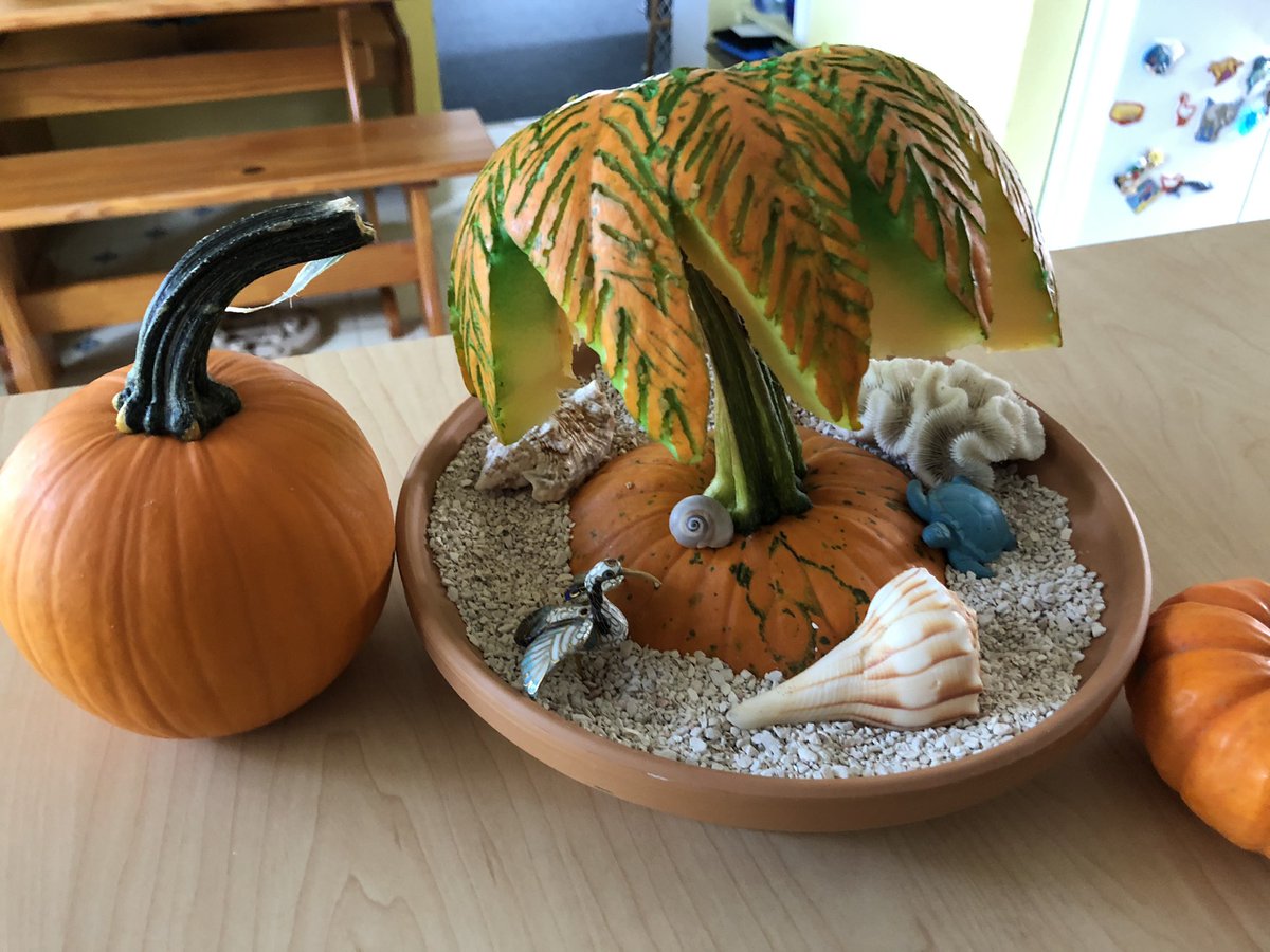 Hey gang, check out this #tropical #pumpkin Kath made!  Too cute.