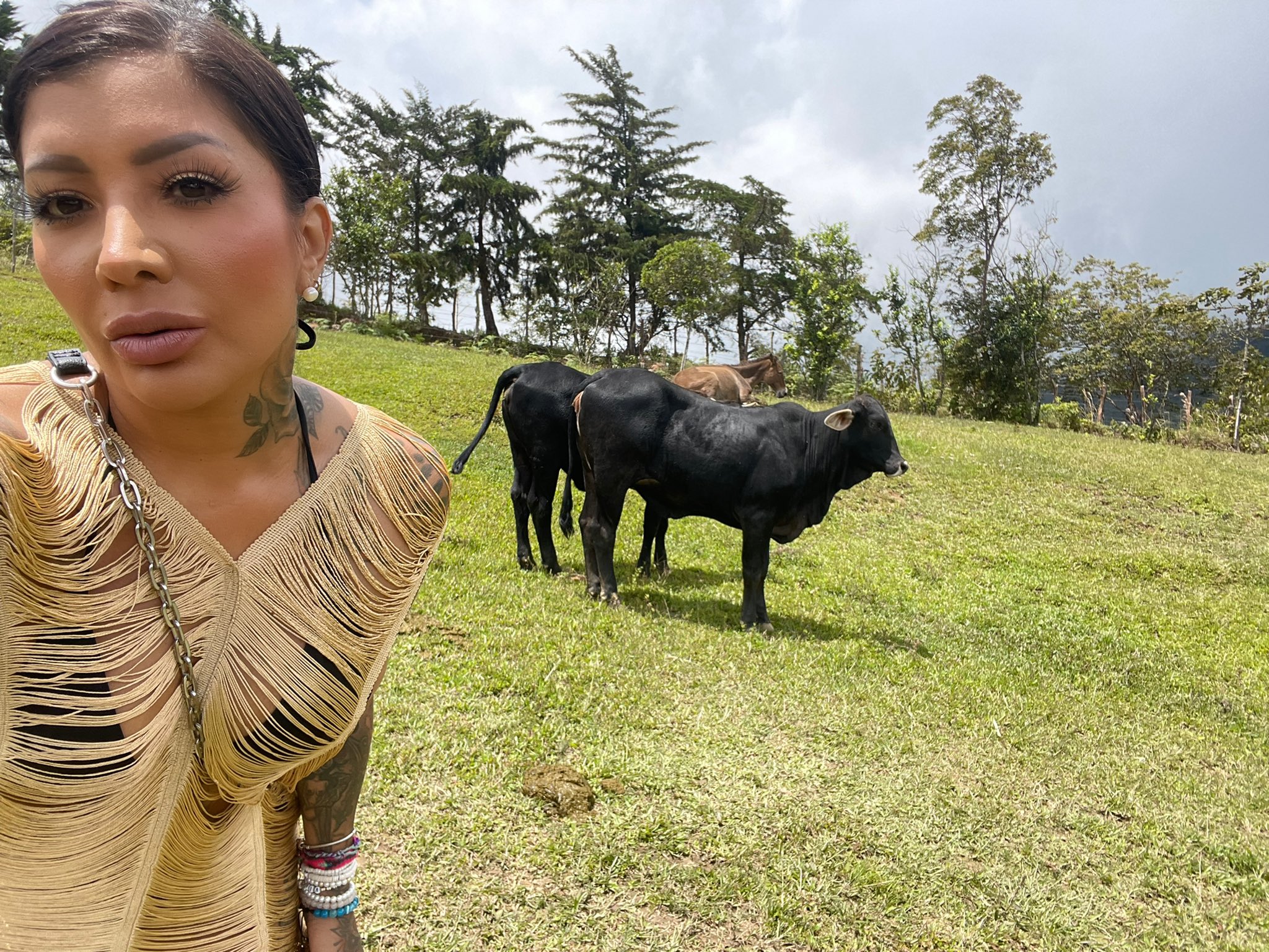 TW Pornstars - YeiLove. Twitter. Mientras ustedes refrescaban mil veces