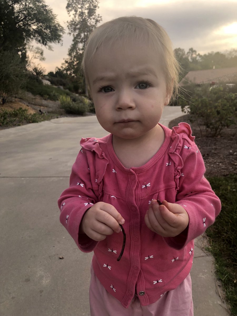 sdutKevinAcee's tweet photo. It’s cool, AJ. We were pretty busy on the first day of the offseason too. Picked grapes. Played with a big spider. Tore apart a worm.
Did some other stuff. Maybe I’ll tell you about it tomorrow or Wednesday. https://t.co/8QbylOdHLL