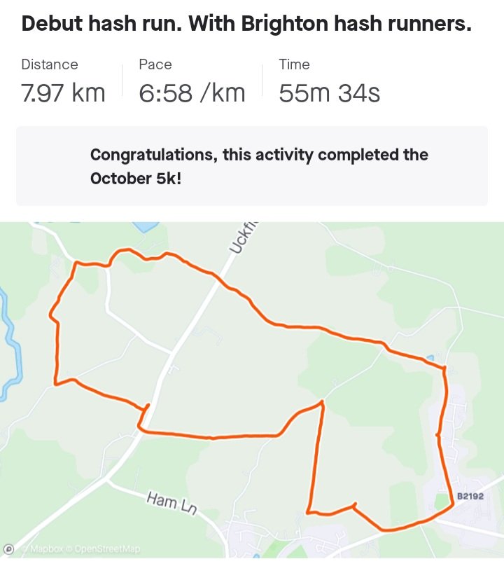 charlesball86's tweet photo. Enjoyed my debut hash house run with Brighton Hash House Harriers with the WWR (that Crawley lot.). Hopefully I will attend another run with you all soon. #hashrun https://t.co/MpmLmsTN6o