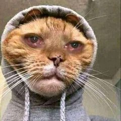 Adélaïde 💎 tweet media