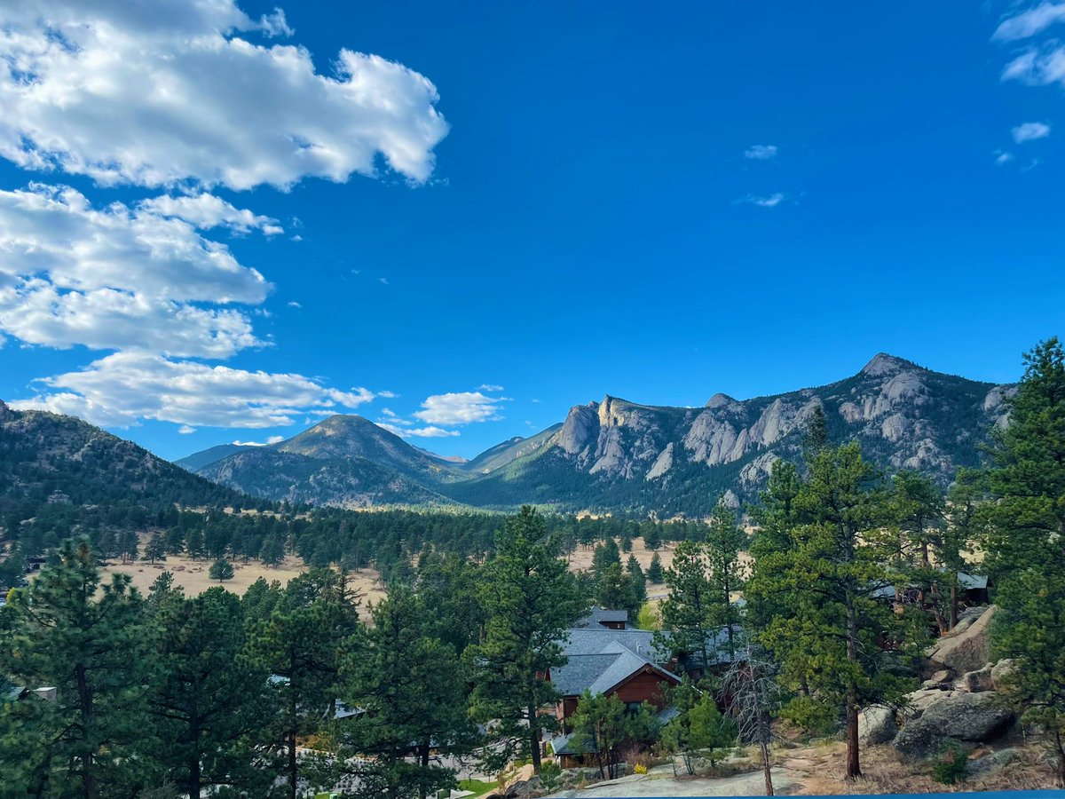 caitmcwhorter's tweet photo. I’d rather look at this than Instagram anyway. #estespark #fromwhereiwork https://t.co/mfwQ1LpO0N