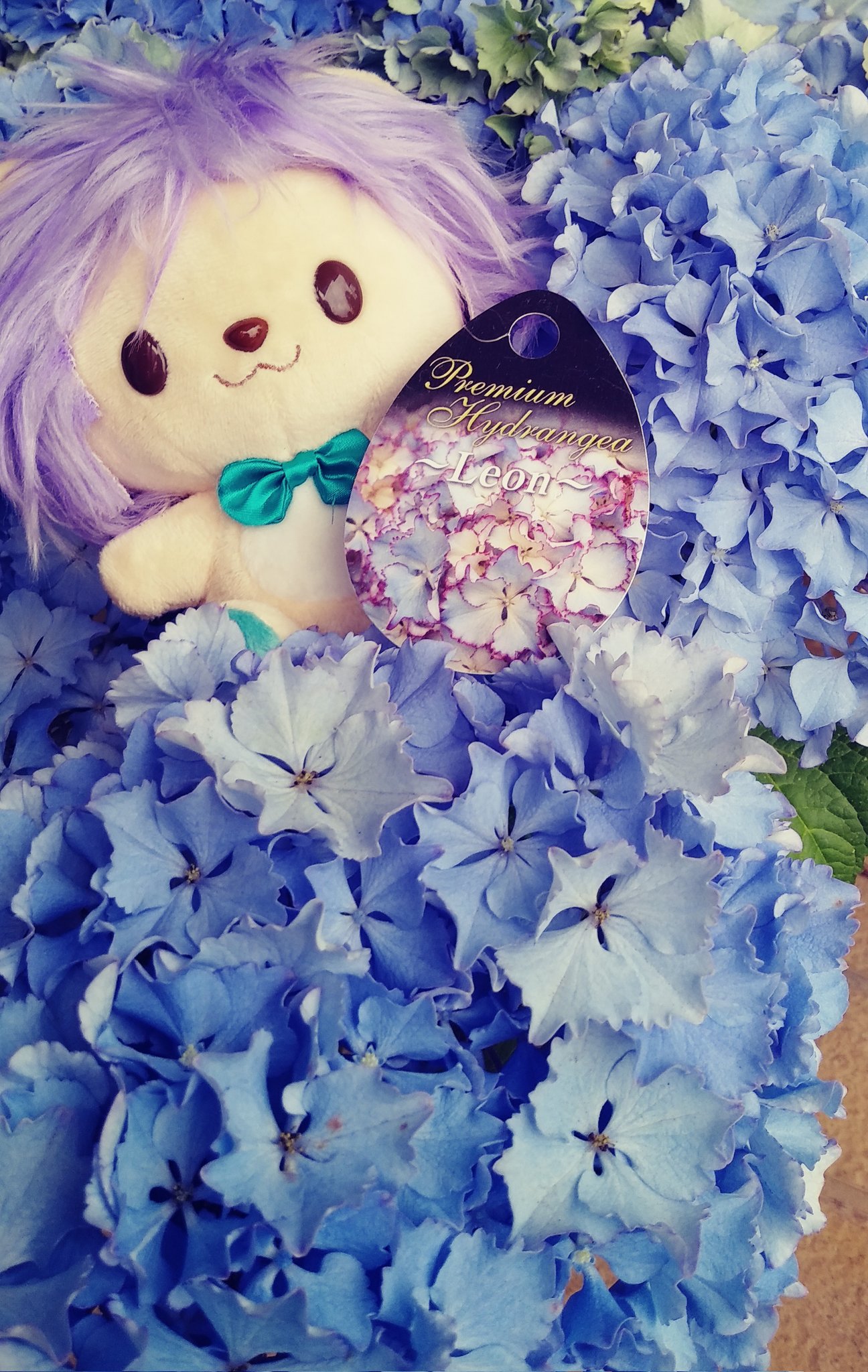 大栄花園 Twitter Search Twitter