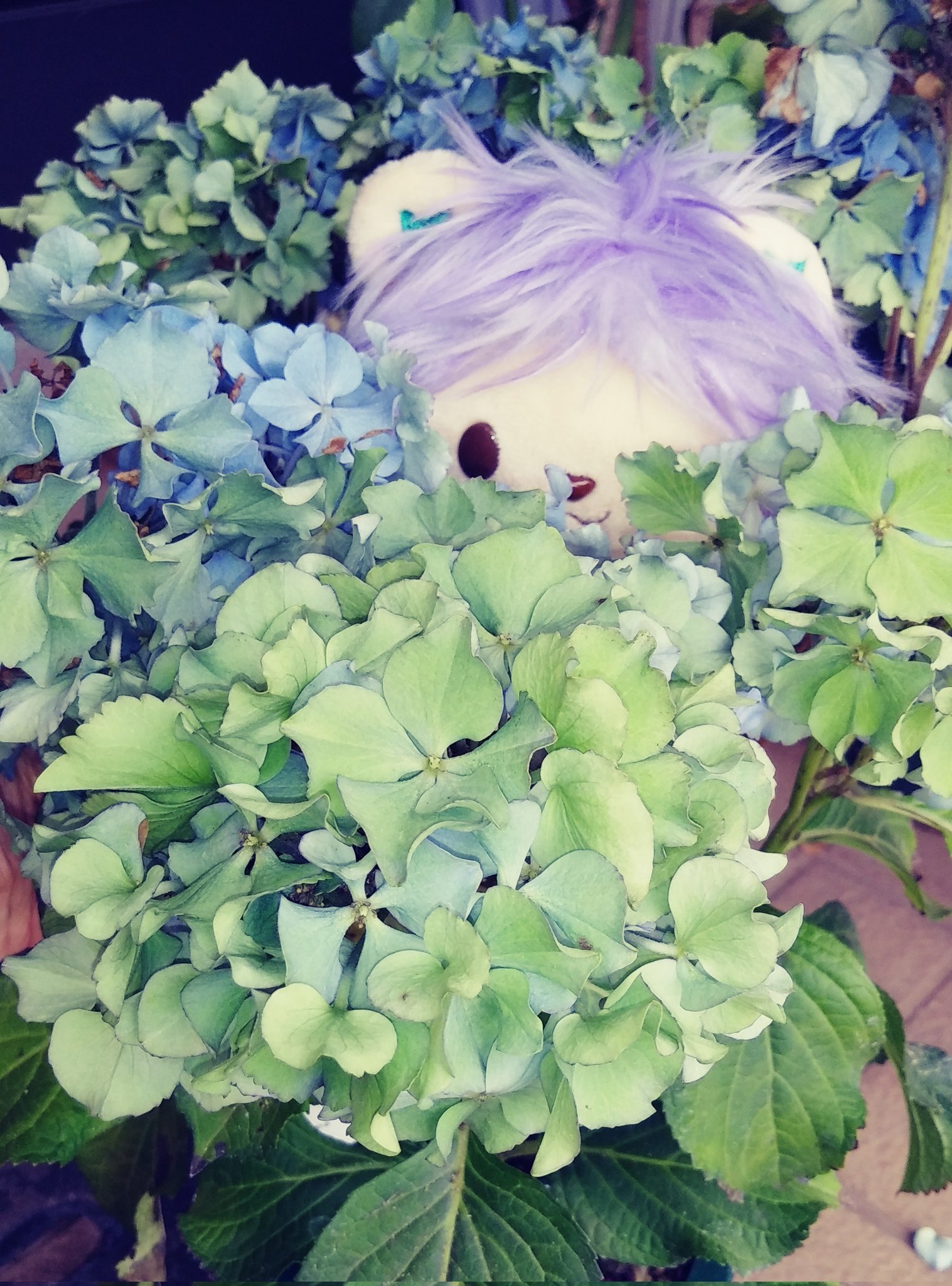 大栄花園 Twitter Search Twitter