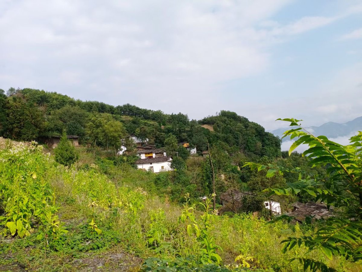 中国最美乡村！🧐🧐