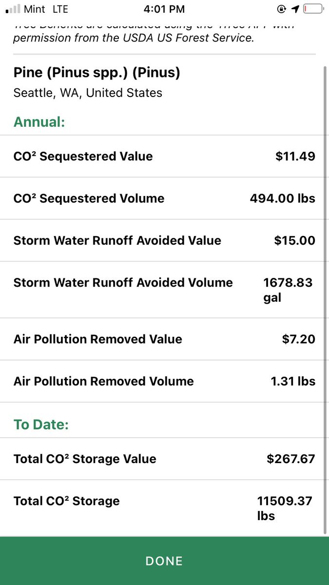 TreeMamaSEA's tweet image. First fall survey - and we are taking on a mystery tree in Seattle, WA (Wallingford neighborhood)!

Judging by the lack of scales on the bark, this 2-needle pine IS NOT a Shore Pine. But what is it...? 🤔

#iSeaTree #MakingTreesCount