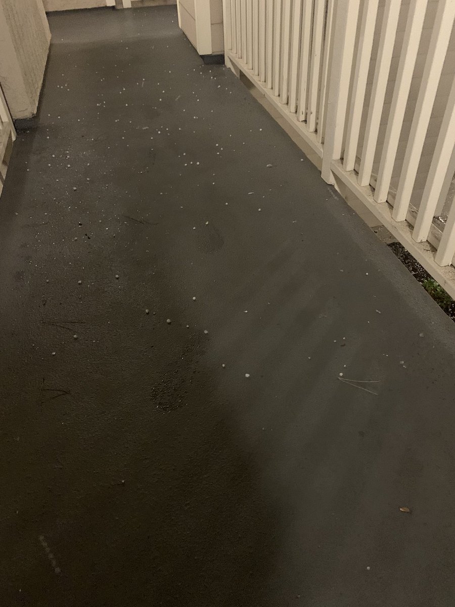 Ryan Pacocha tweet media