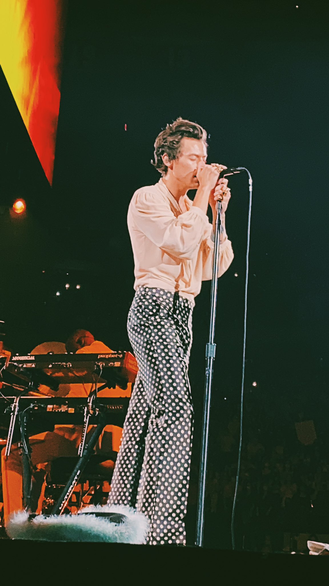 HL Daily On Tour on X: 