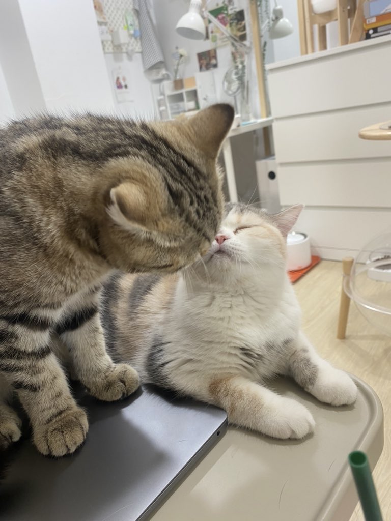 _DNVP_'s tweet photo. หน้าฟินอะไรขนาดนั้นยัยเฟย เก็บอาการหน่อยลู้กก https://t.co/xWoaptEbre