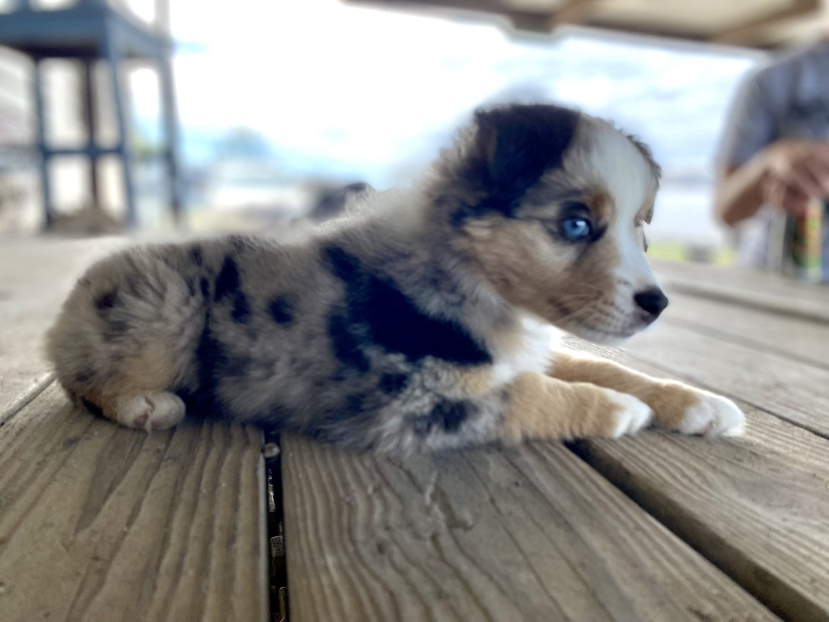My beautiful girl
