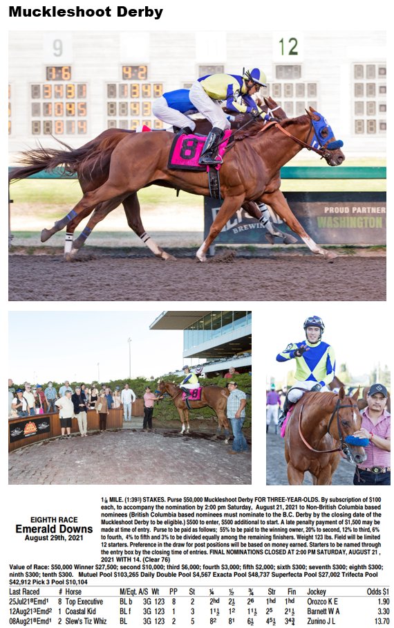 Horse of the Meeting

Top Executive

3-for-3, all stakes

Trainer - Blaine Wright