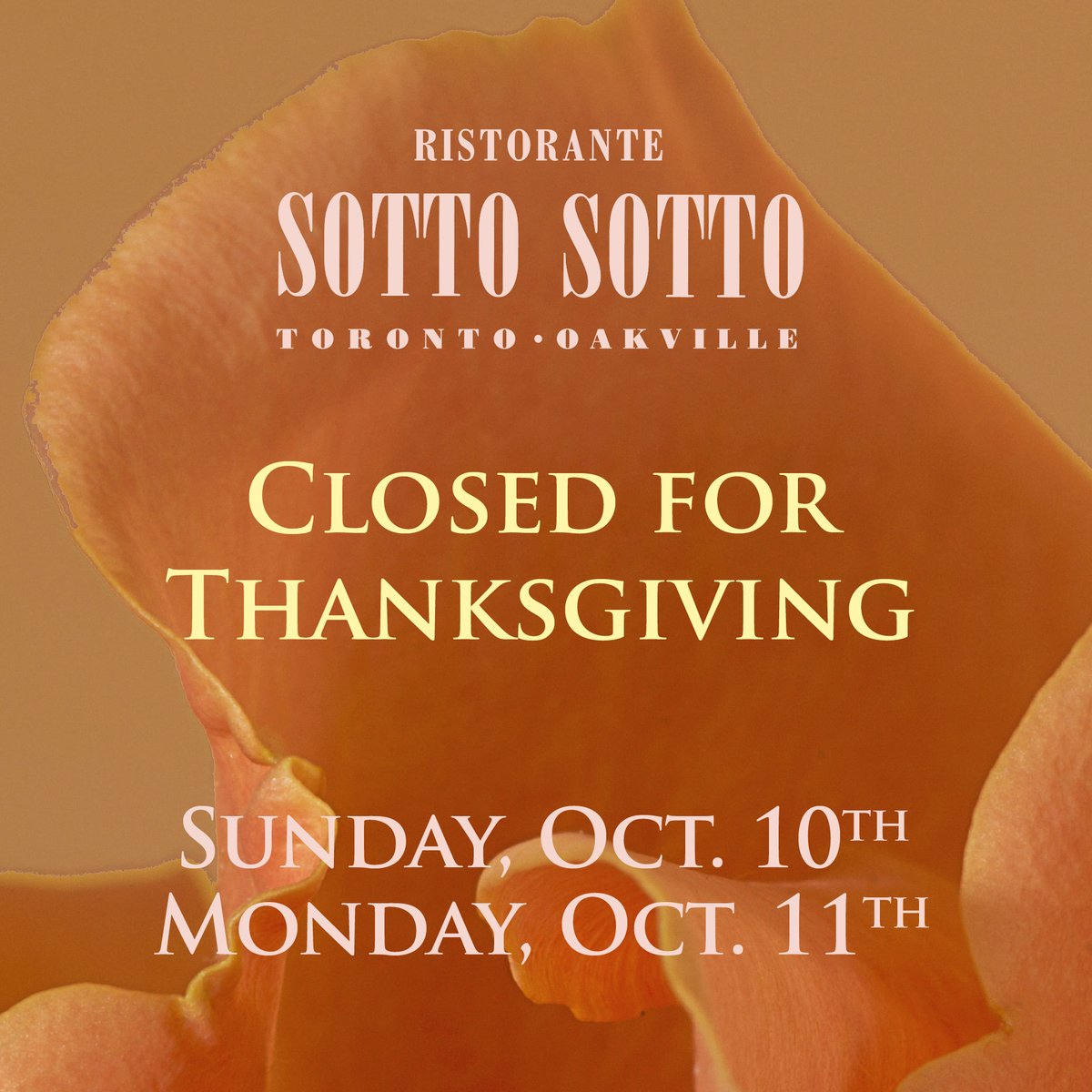 Sotto Sotto Toronto tweet media