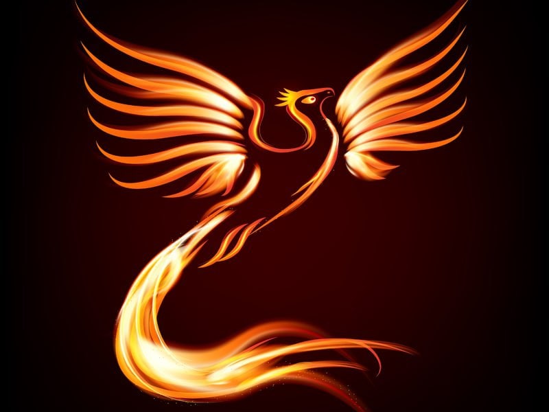 PEC Official telegraph group:
0.plus/phoenix_v2
PEC official telegraph channel:
 t.me/phoenixV2
PEC Official Twitter:
<a href="/V2Chain/">Phoenix_Chain_v2</a>
PEC Block browser:
explorer.phoenixchain.cc
PEC Open source main network
github.com/phoenixchain/p…