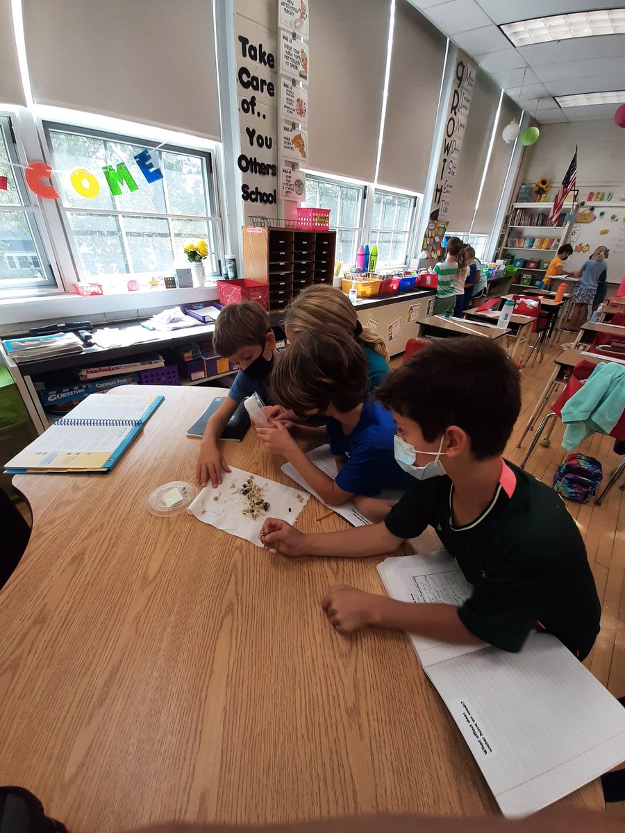 3YLizzyHaddon's tweet photo. "Just Add Water" and watch em grow and grow.  3Y is enjoying their ongoing seed investigations. https://t.co/zg9f2sM1uS