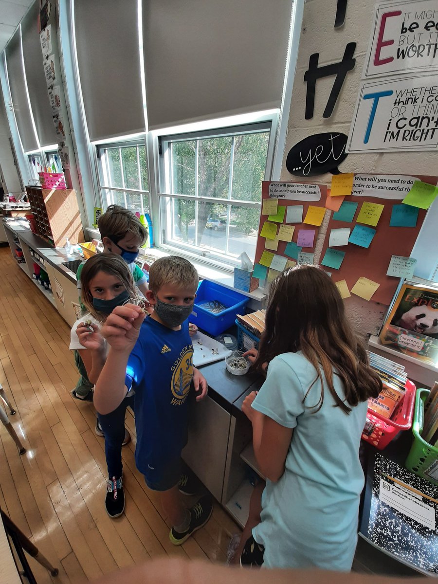 3YLizzyHaddon's tweet photo. "Just Add Water" and watch em grow and grow.  3Y is enjoying their ongoing seed investigations. https://t.co/zg9f2sM1uS